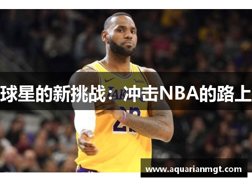 球星的新挑战：冲击NBA的路上